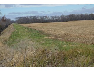 Property photo 36 - LAND AUCTION - 276.5+/- ACRES OFFERED IN 5 TRACTS IN EAST ALLEN COUNTY